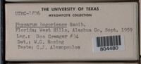 Image Associated With the Occurence